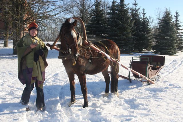 Gallery image 187224