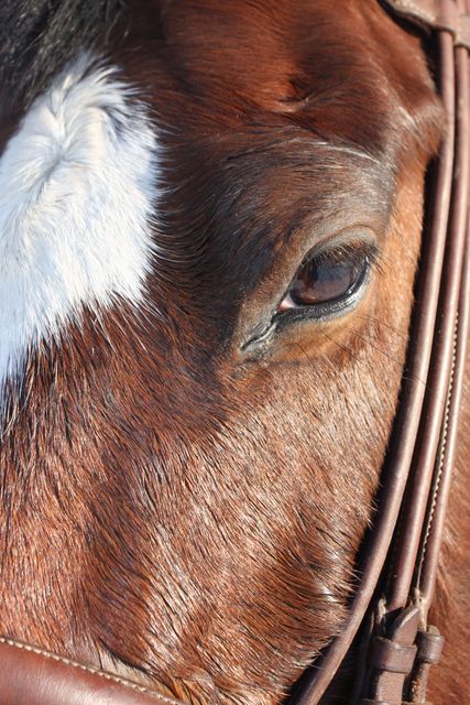 Gallery image 187228