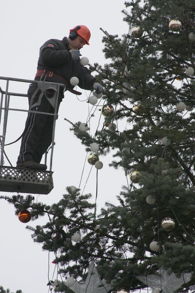 Gallery image 256555