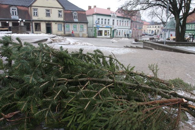 Gallery image 256554