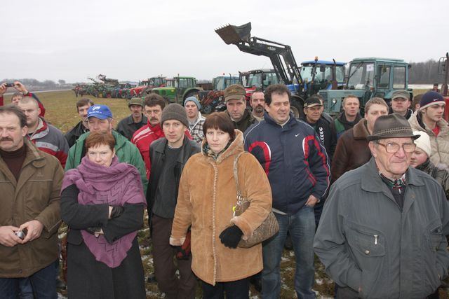 Gallery image 187173