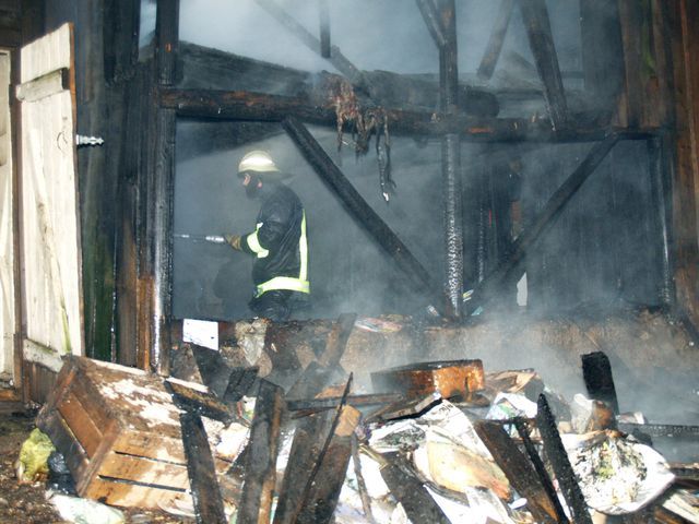 Gallery image 187115