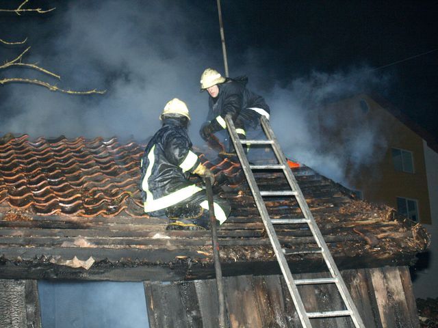 Gallery image 187117