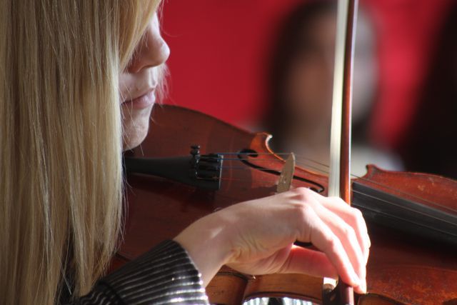 Gallery image 256508