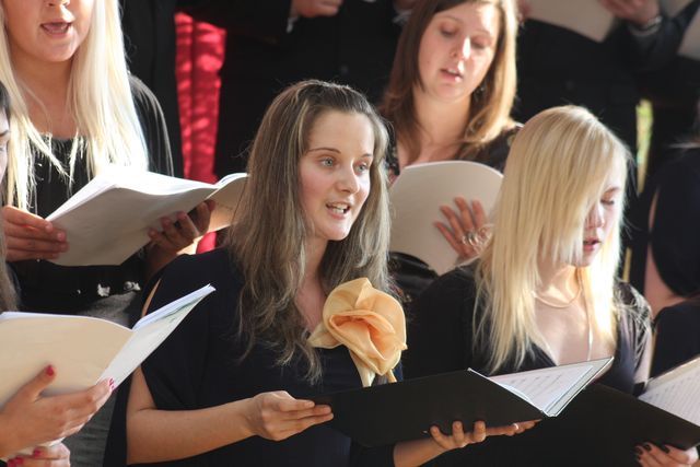 Gallery image 256510