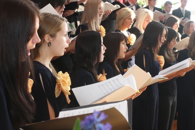 Gallery image 256513