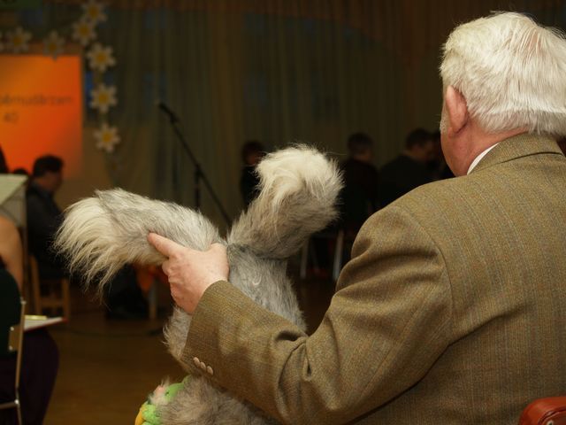 Gallery image 187044