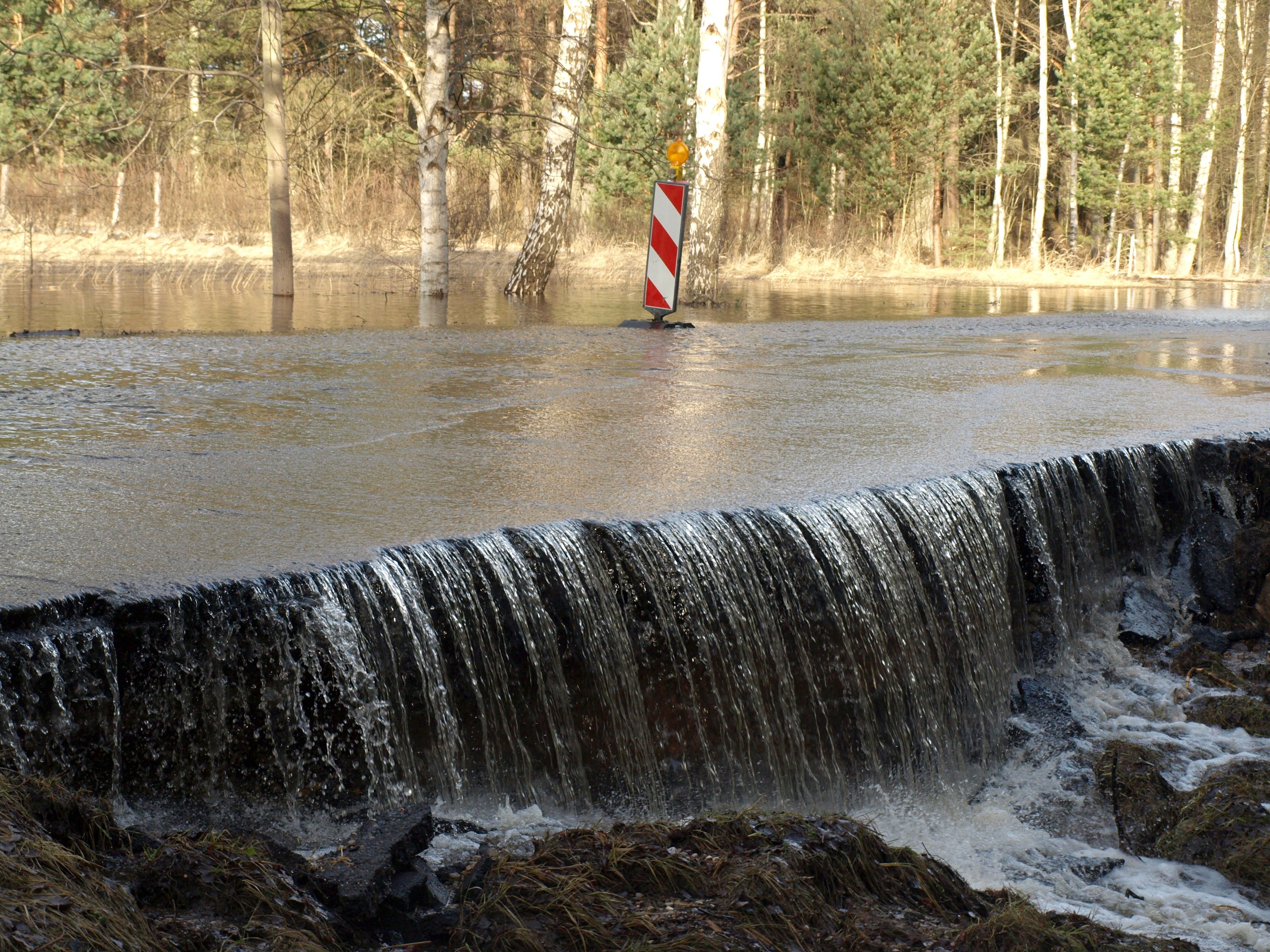 Gallery image 186966