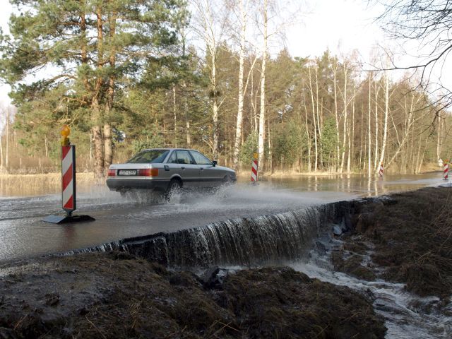 Gallery image 186965