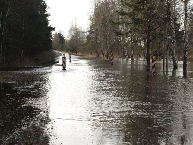 Gallery image 186967