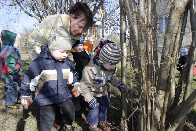 Gallery image 186957