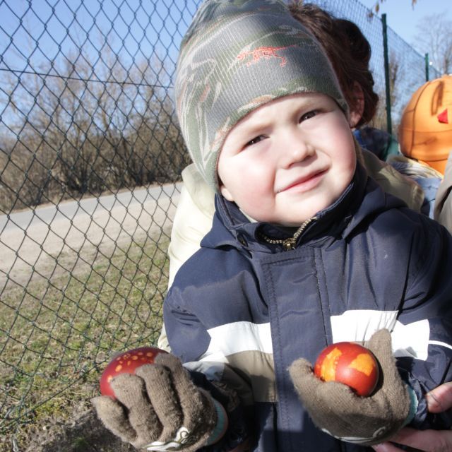 Gallery image 186958