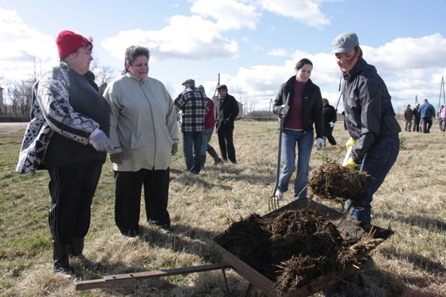 Gallery image 186875