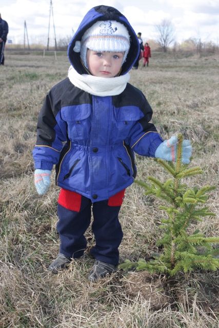 Gallery image 186878