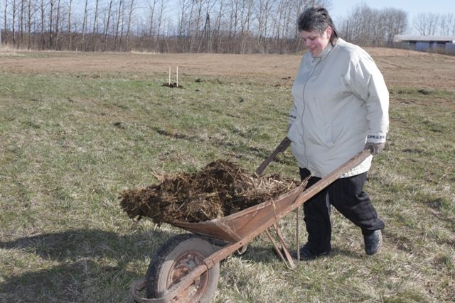 Gallery image 186876