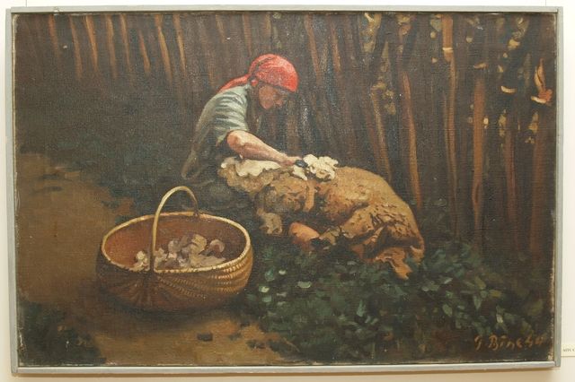 Gallery image 256440