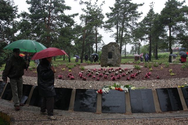 Gallery image 256265