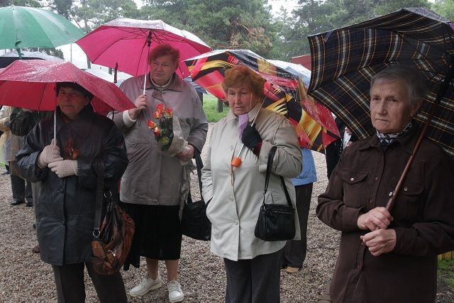 Gallery image 256267