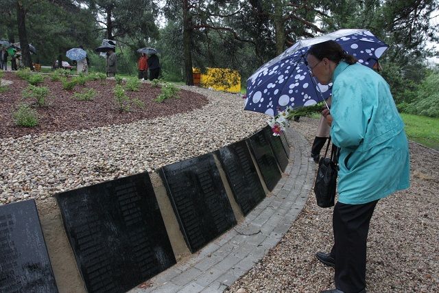 Gallery image 256269