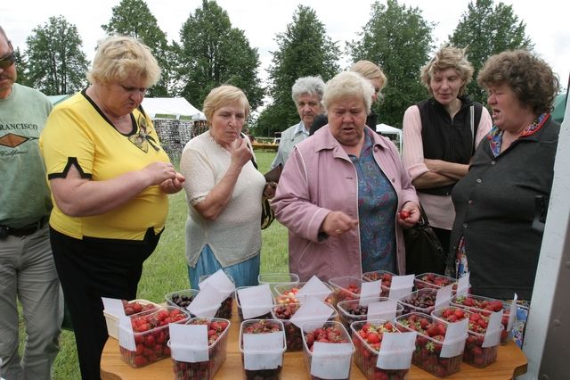 Gallery image 256170