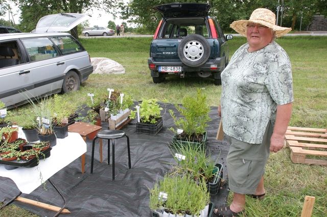 Gallery image 256171