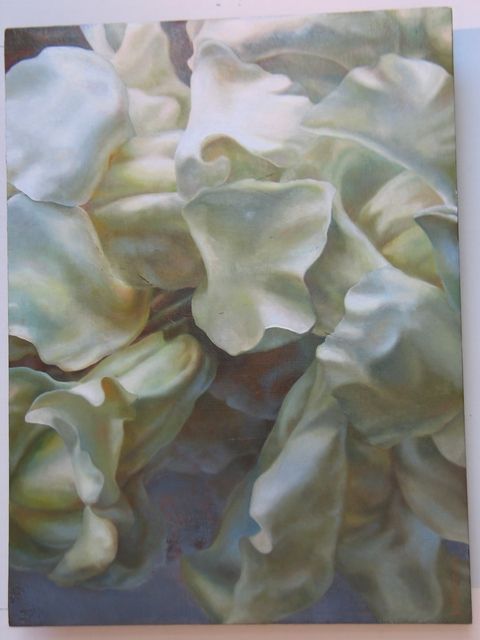 Gallery image 256014