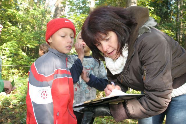 Gallery image 255952