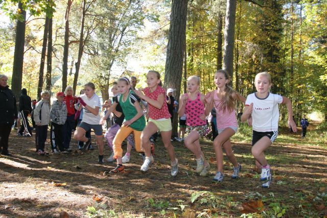 Gallery image 255954