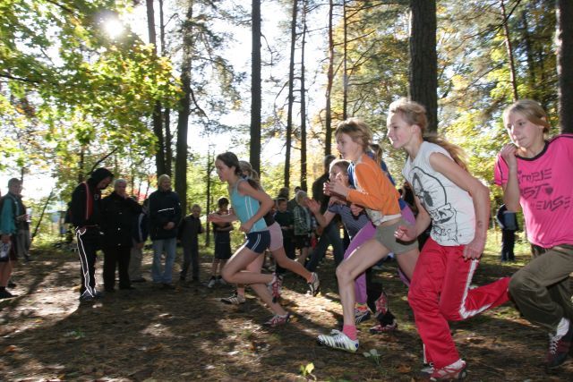 Gallery image 255958