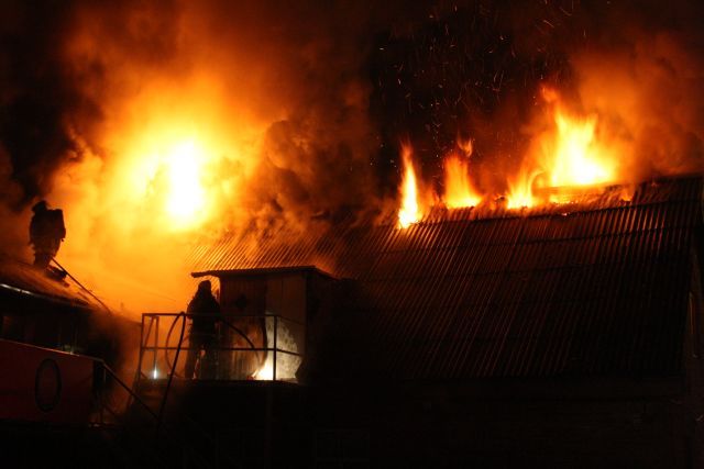 Gallery image 255936