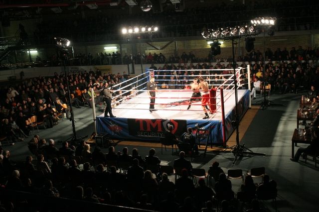 Gallery image 255905