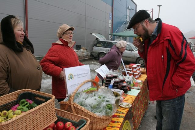 Gallery image 255880