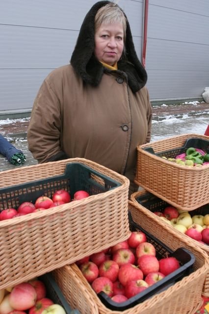 Gallery image 255883