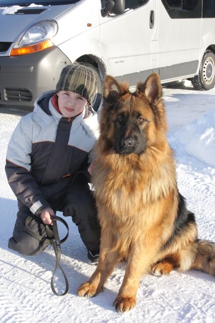 Gallery image 186269