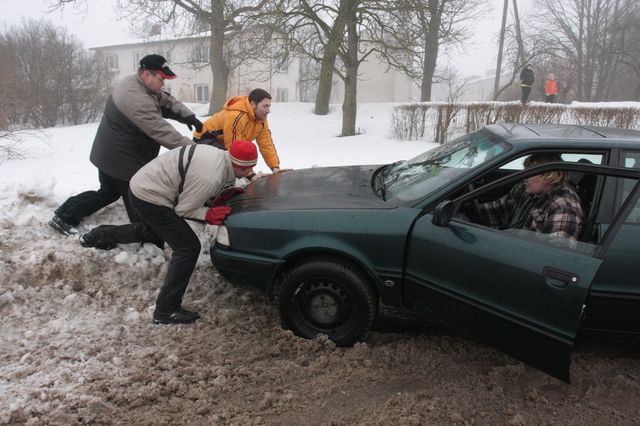 Gallery image 186164