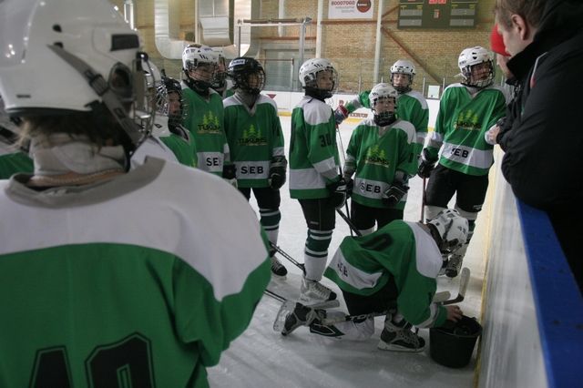 Gallery image 255529