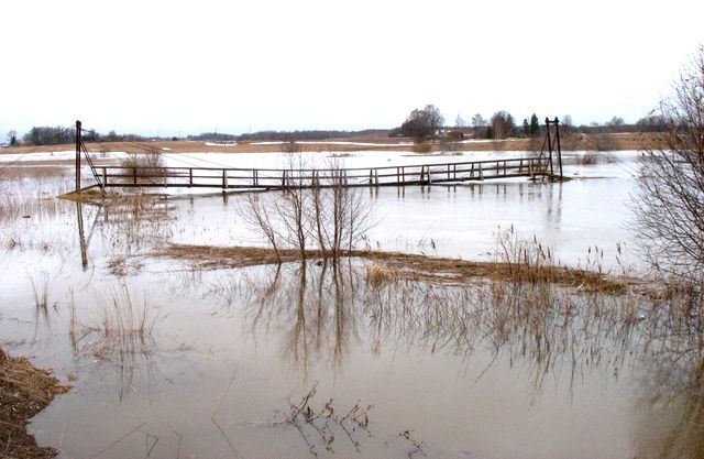 Pūrenieki izglābuši gājēju tiltu