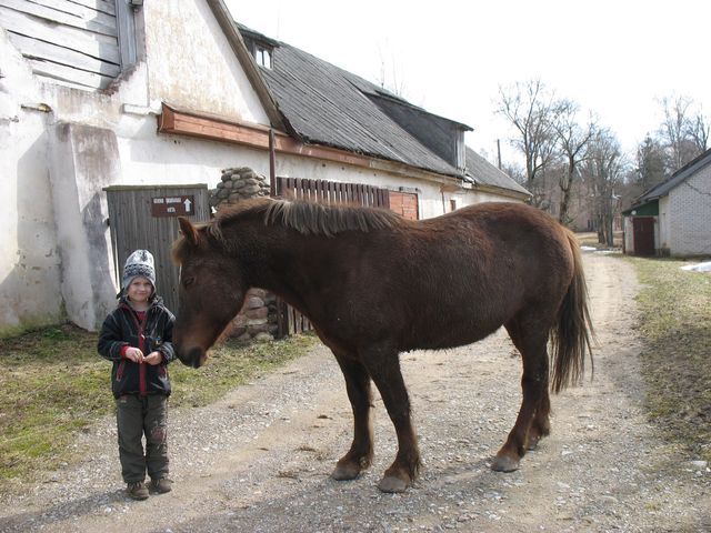 Valsts piedāvā pārņemt Rindzeli