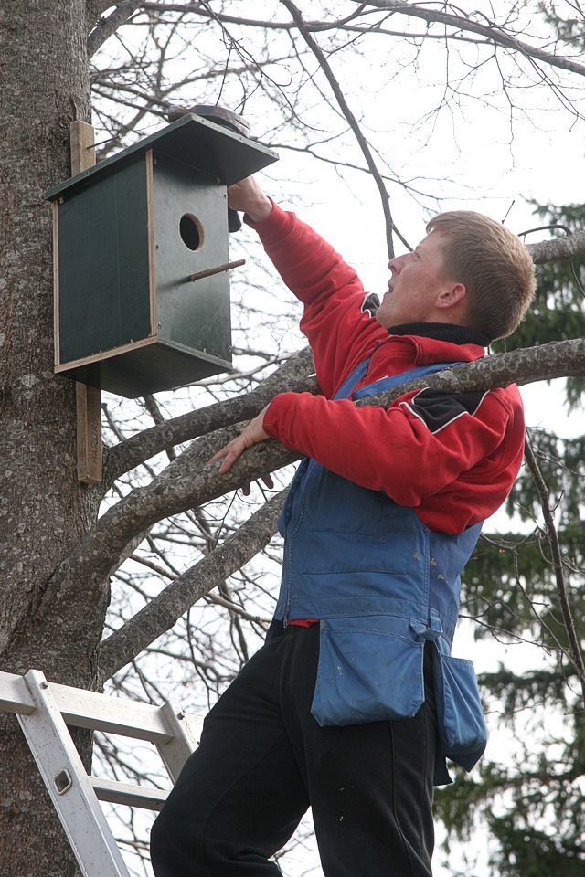 Pūrenieki – draugos ar putniem