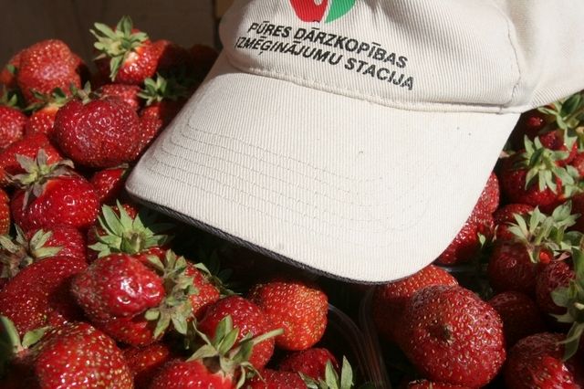 Gallery image 185880