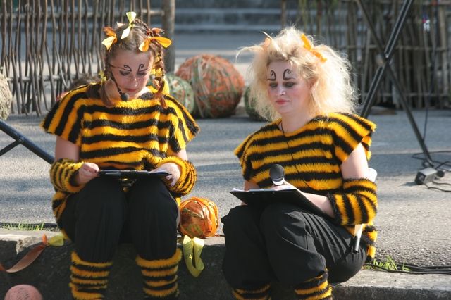 Gallery image 255038