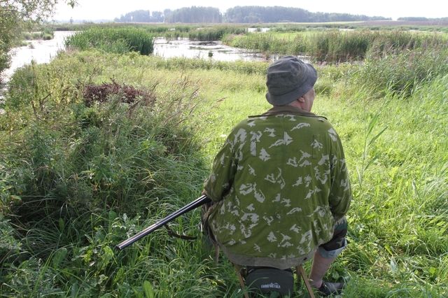 Gallery image 254934