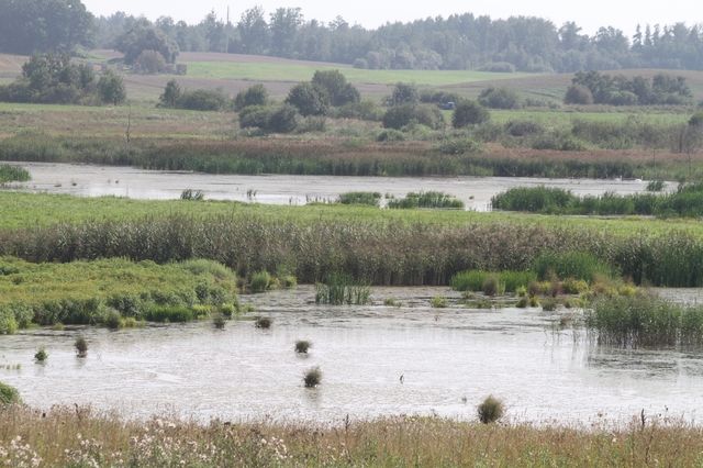 Gallery image 254933