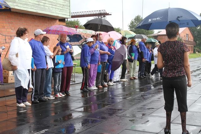 Gallery image 254892