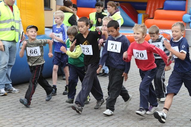 Gallery image 185571