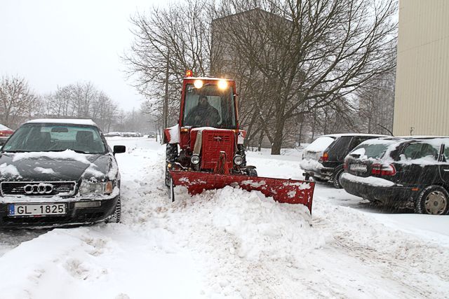 Gallery image 254688