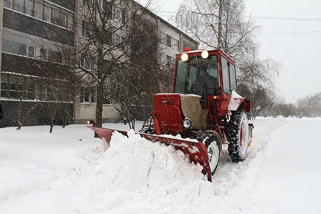 Gallery image 254687