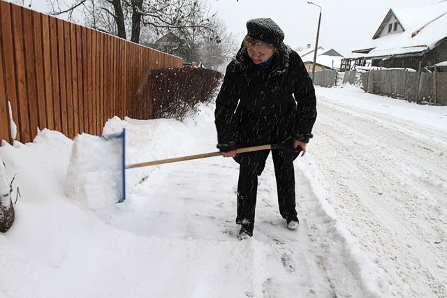 Gallery image 254686