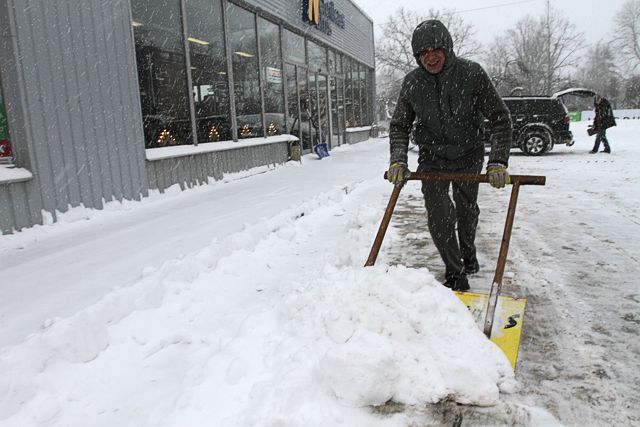 Gallery image 254690