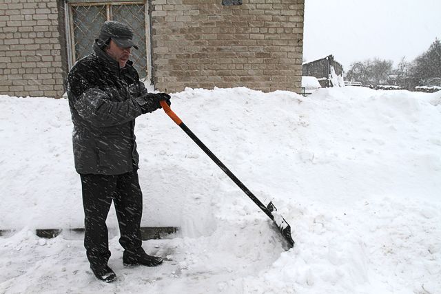 Gallery image 254689